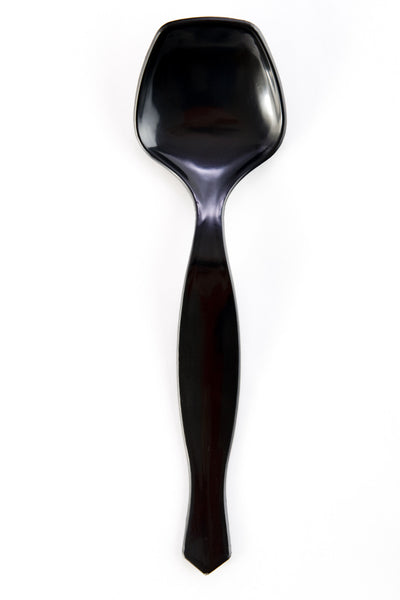 Transitions2earth Biodegradable EcoPure Economy Serving Spoons - 8.75 –  Transitions2earth®