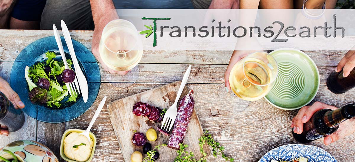 Transitions2earth